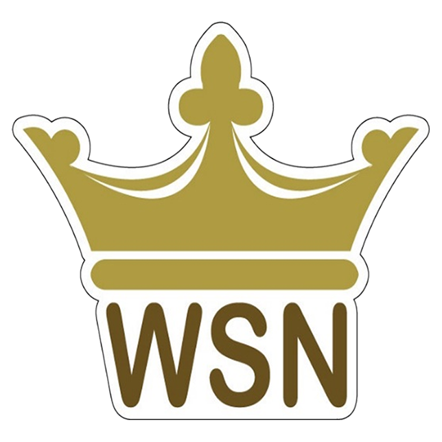 WSN Telecommunications Sdn Bhd Logo